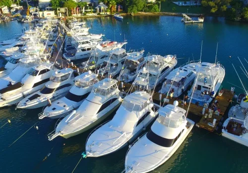 Mobay Yacht