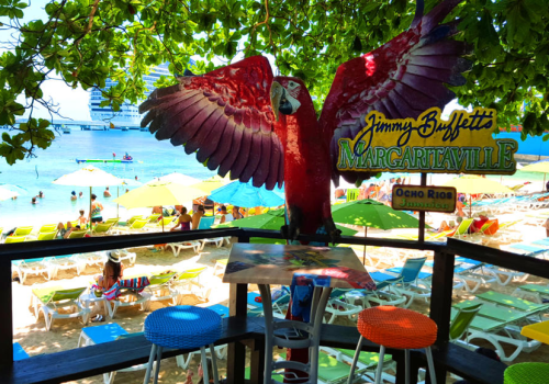 margarittaville ocho rios